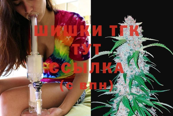 молекула духа Белокуриха