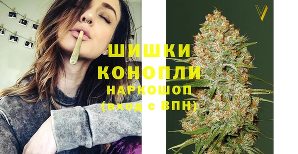 молекула духа Белокуриха