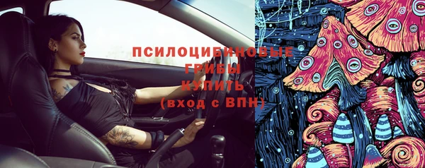 молекула духа Белокуриха