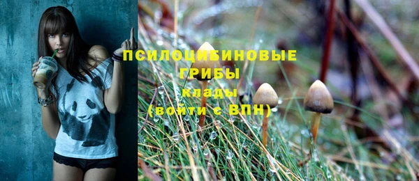 молекула духа Белокуриха