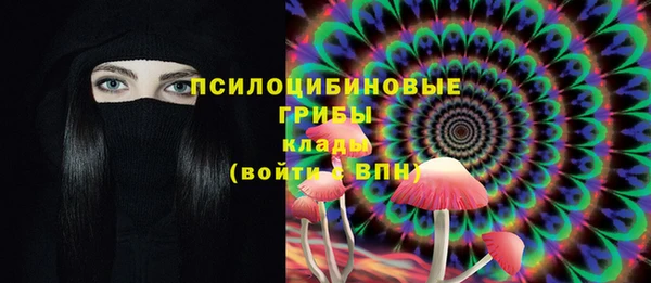 ECSTASY Белоозёрский
