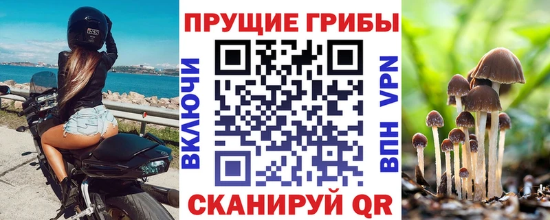 Псилоцибиновые грибы прущие грибы  закладки  Гатчина 